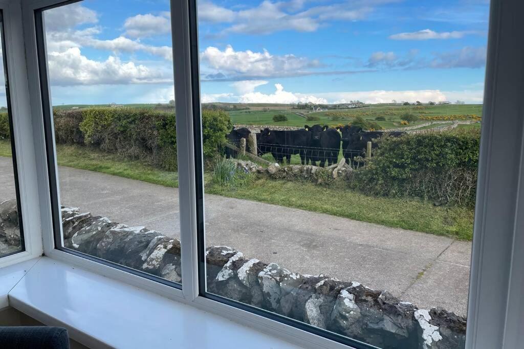 Galloway Farmstay Broughton Newton Stewart Extérieur photo